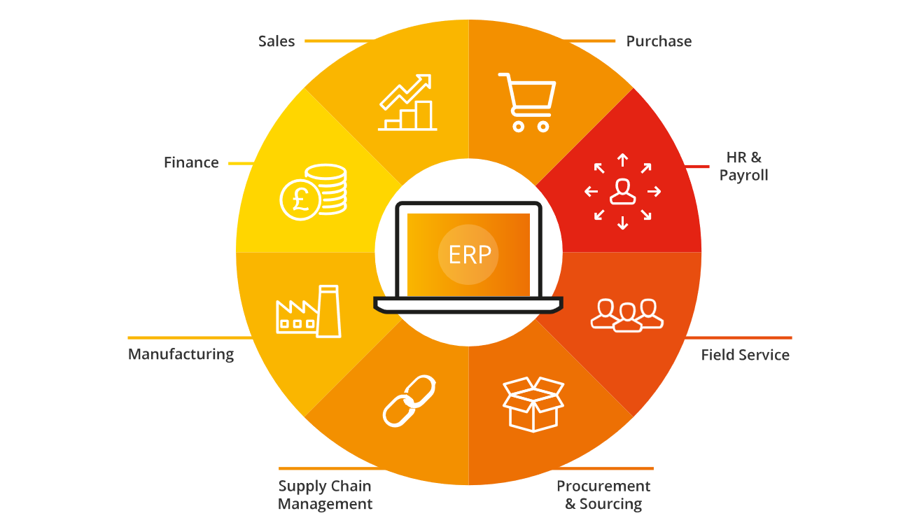ERP Systems Advanced ERP Systems Advanced