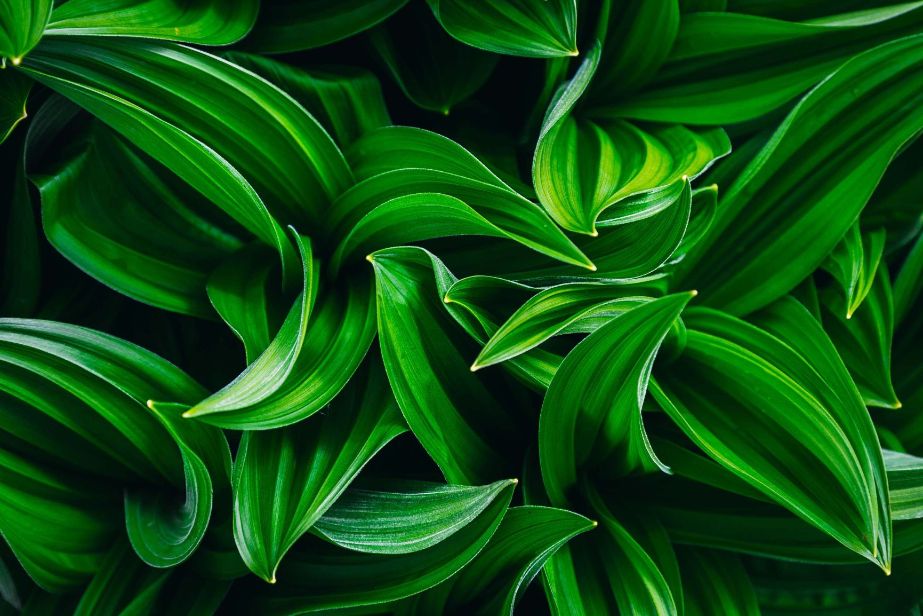 Four ways to grow your law firm organically in 2023