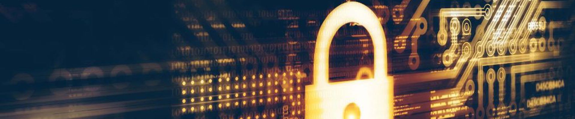 Data Security Risks and how to reduce it
