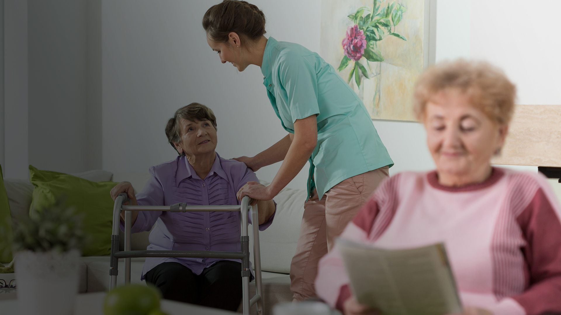 an image associated withCareDirector Factsheet
