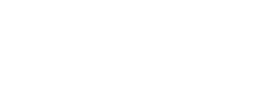 SAPPI logo